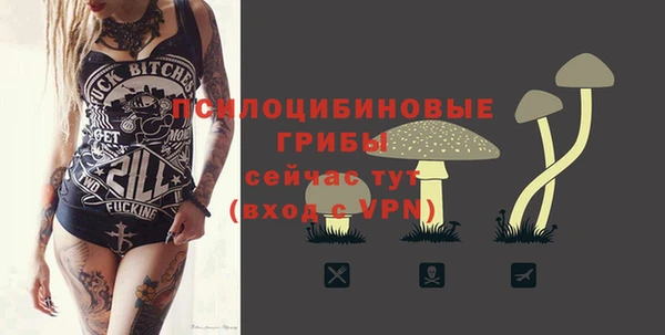 МДПВ Каменск-Шахтинский