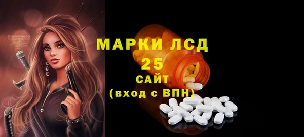 mdpv Каменногорск