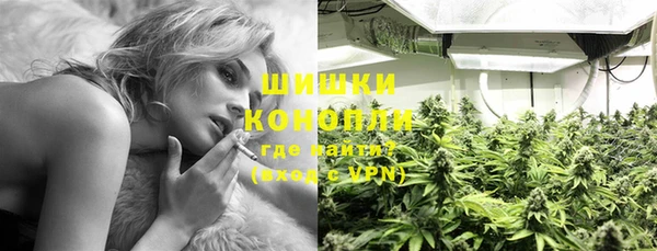 бошки Каменка