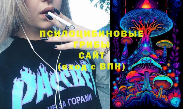 МДПВ Каменск-Шахтинский